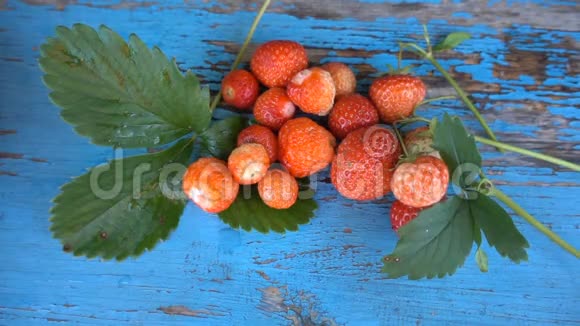 新鲜成熟多汁的草莓红草莓HD视频的预览图