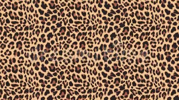 特写动作缓慢的豹毛美丽的异国动物图案的无缝循环动画摘要视频的预览图