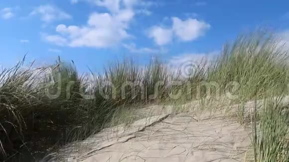 沙丘视频的预览图