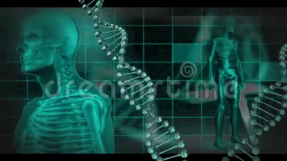 人体DNA和医学数据视频的预览图