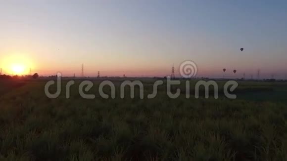 日出时热气球飞过卢克索的田野视频的预览图