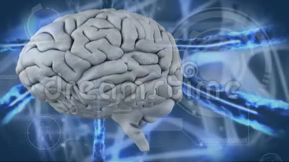 数字生成的人脑视频视频的预览图