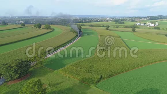 在阳光明媚的夏日带着绿色的田野蒸汽火车在农场乡间吹烟视频的预览图