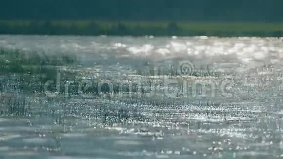 海浪扫过草地慢动作视频视频的预览图