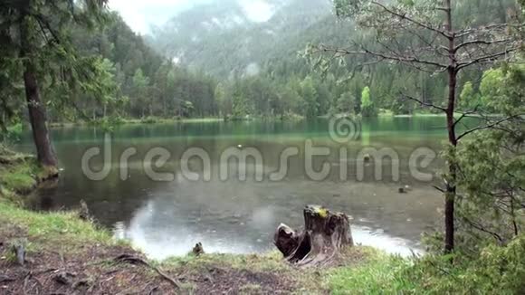 在奥地利纳斯雷思的费尔斯坦塞绿色山湖上下雨视频的预览图