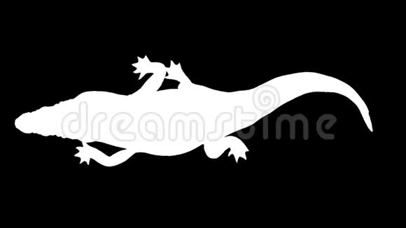 移动鳄鱼的白色轮廓阿尔法频道阿尔法冰铜全高清视频的预览图