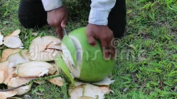 男人剥了一个绿色的大椰子视频的预览图