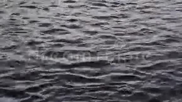水波流水视频的预览图