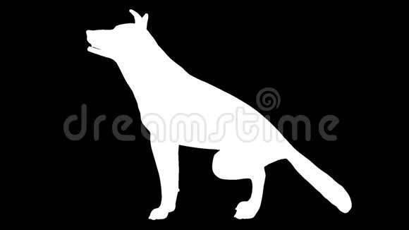 坐着的狗的白色轮廓阿尔法频道阿尔法冰铜全高清视频的预览图