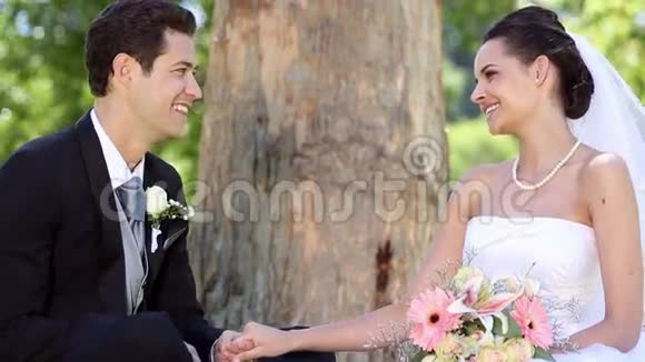 快乐的新婚夫妇坐在公园的树旁视频的预览图