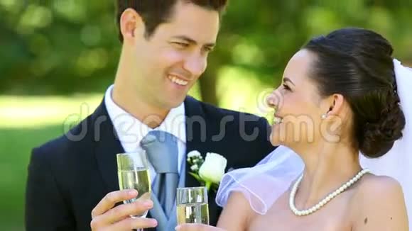 新婚快乐品尝香槟视频的预览图
