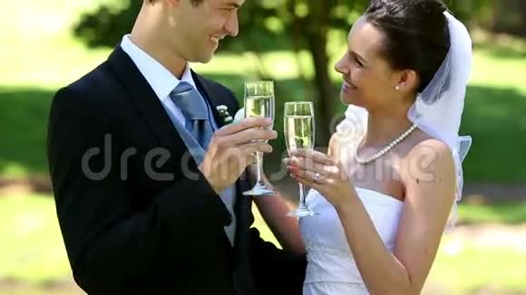 新婚快乐品尝香槟视频的预览图