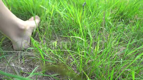 赤脚在草地上行走自由和幸福的概念视频的预览图