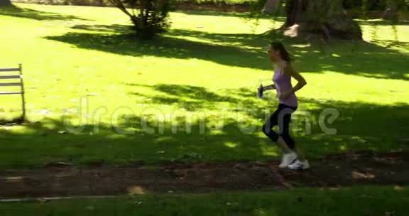 跑步者停下来在公园里伸展身体视频的预览图