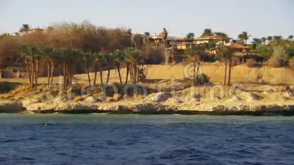 红海沿岸夏季海滩棕榈和酒店埃及西奈半岛视频的预览图