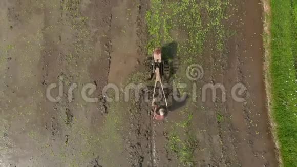 为水稻种植做耕地准备的农民的空中射击视频的预览图