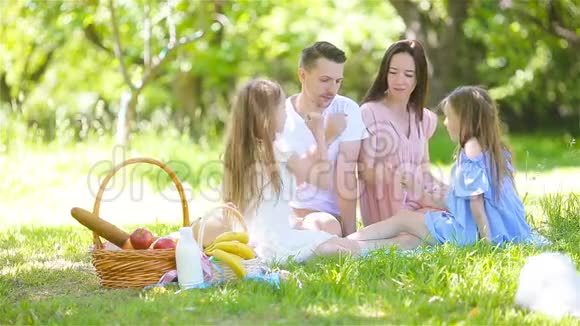 阳光明媚的一天一家人在公园野餐视频的预览图