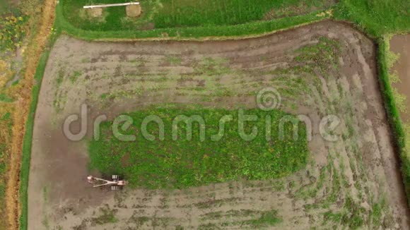 为水稻种植做耕地准备的农民的空中射击视频的预览图
