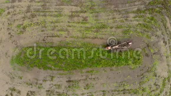 为水稻种植做耕地准备的农民的空中射击视频的预览图