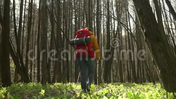 120英尺那个带着红色背包的女人在森林路上旅行斯堪的纳维亚人散步视频的预览图