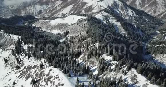 飞过白雪皑皑的针叶树雪白的山和云从上面用无人机射击视频的预览图