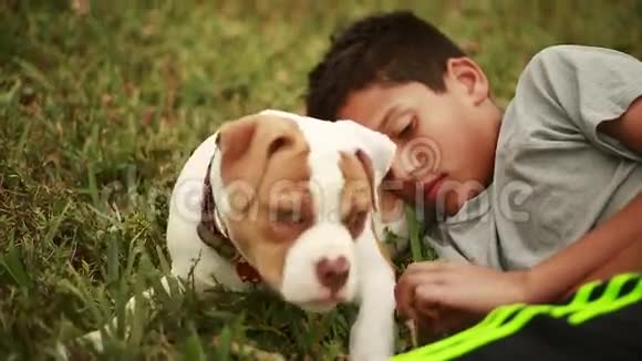 可爱的狗和可爱的孩子躺在草地上小狗在吃草视频的预览图