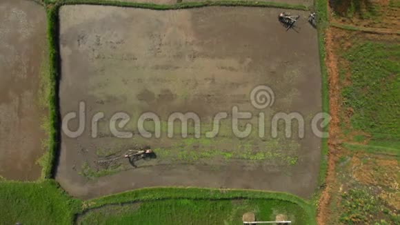 为水稻种植做耕地准备的农民的空中射击视频的预览图