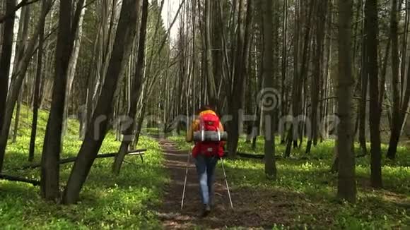 120英尺那个带着红色背包的女人在森林路上旅行斯堪的纳维亚人散步视频的预览图