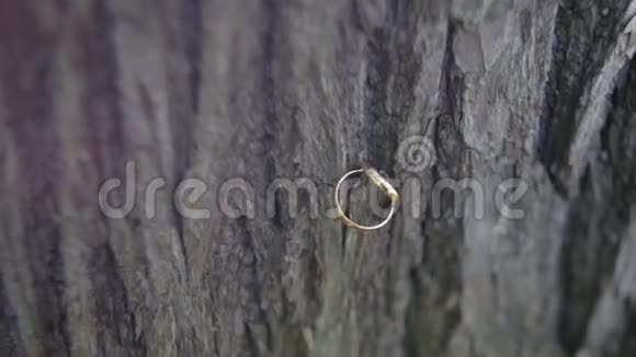 结婚戒指在木头上木头背景上的结婚戒指木制旧背景上的结婚戒指旧结婚戒指视频的预览图