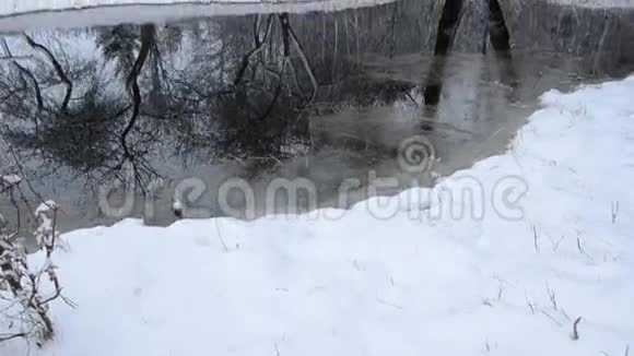 三月池塘在农场和雪视频的预览图