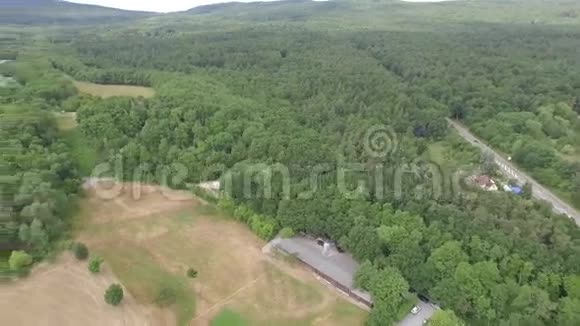 森林和一个小镇被无人机拍摄视频的预览图