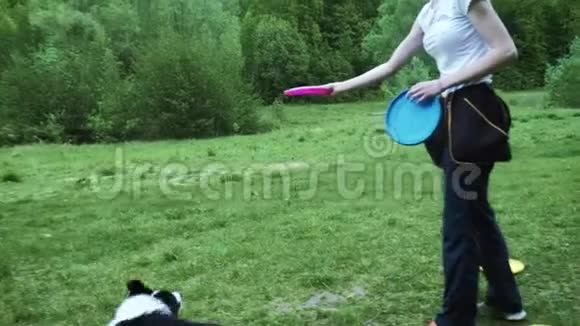 女人玩她的边境牧羊犬扔飞盘视频的预览图