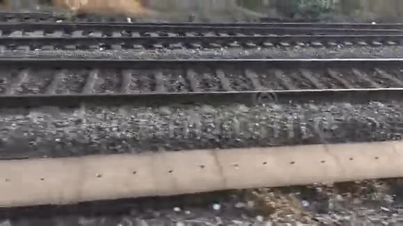 铁路旅行背景视频的预览图
