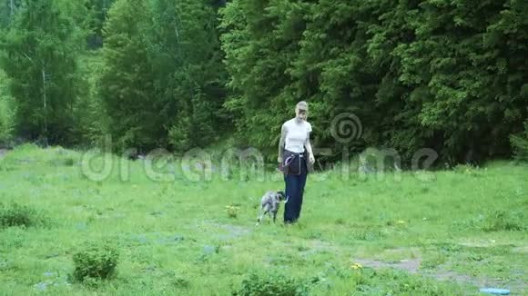 女人玩她的边境牧羊犬扔飞盘视频的预览图