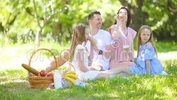 阳光明媚的一天一家人在公园野餐视频的预览图