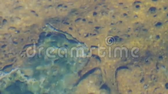 温泉溪下的阿尔加尔垫子视频的预览图