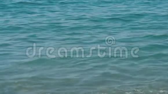 大海的卵石海滩岸上的波浪很慢快关门视频的预览图