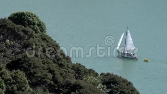 游艇沿新西兰航行视频的预览图