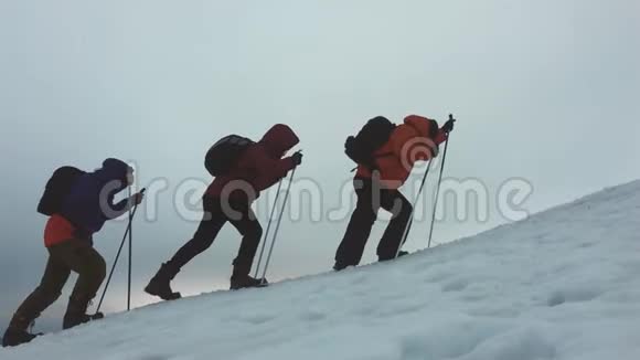 三个徒步旅行者带着徒步旅行杆一个背包和雪鞋徒步旅行者小组冬季旅行愉快视频的预览图