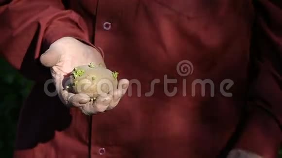老人手里拿着土豆去种地视频的预览图