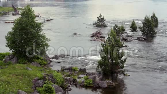 阿尔泰山脉的特莱茨科耶湖的水流视频的预览图