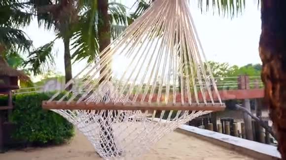 早上阳光照射下热带海滩的棕榈树之间悬挂着吊锤视频的预览图