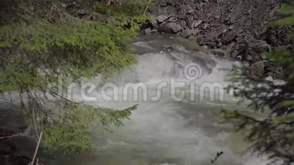 森林里狂风暴雨的山河视频的预览图