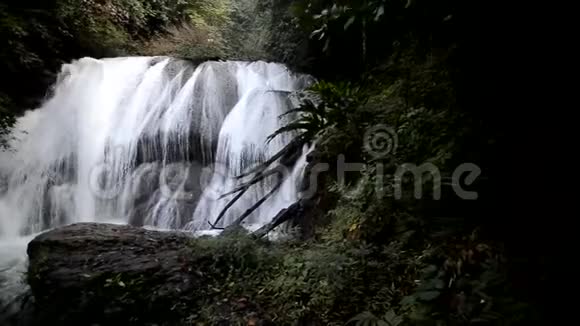 深林中的湖瀑布NamtokThungNangKhruan视频的预览图