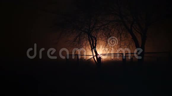 夜晚篱笆后的树木和灯光效果视频的预览图
