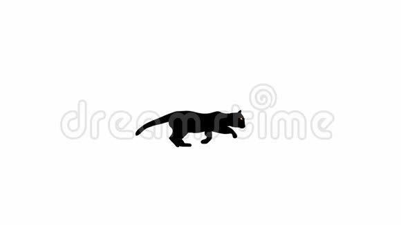 跑步和跳跃黑色猫轮廓循环动画视频的预览图