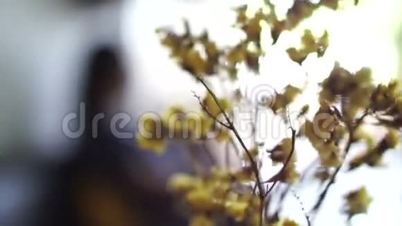 视频干黄花在咖啡馆咖啡厅与离焦人剪影背景视频的预览图