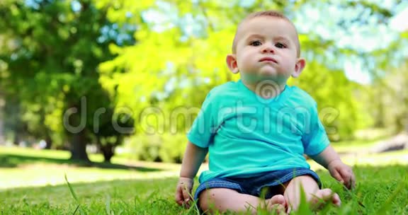 坐在草地上的小男孩视频的预览图
