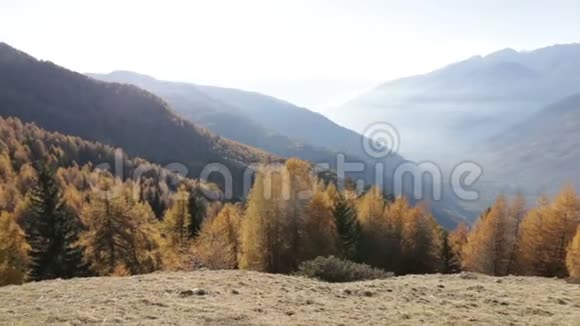 意大利瓦尔泰利纳的秋天景观视频的预览图
