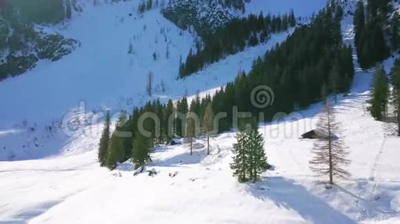 奥地利戈索的戈苏斯湖冬季全景视频的预览图